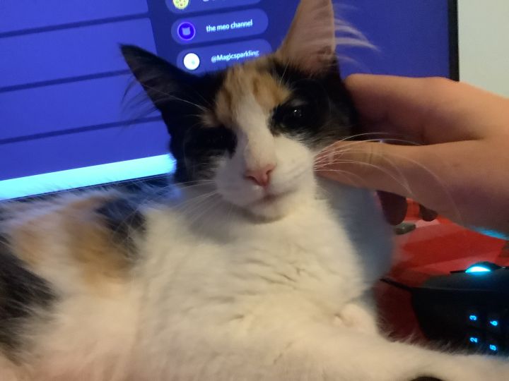User submitted image