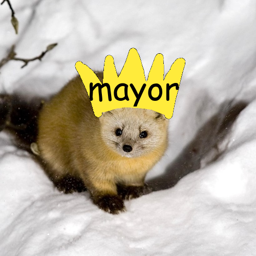 User icon