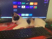 User banner