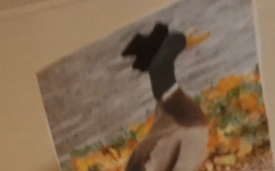 User banner