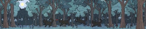 User banner