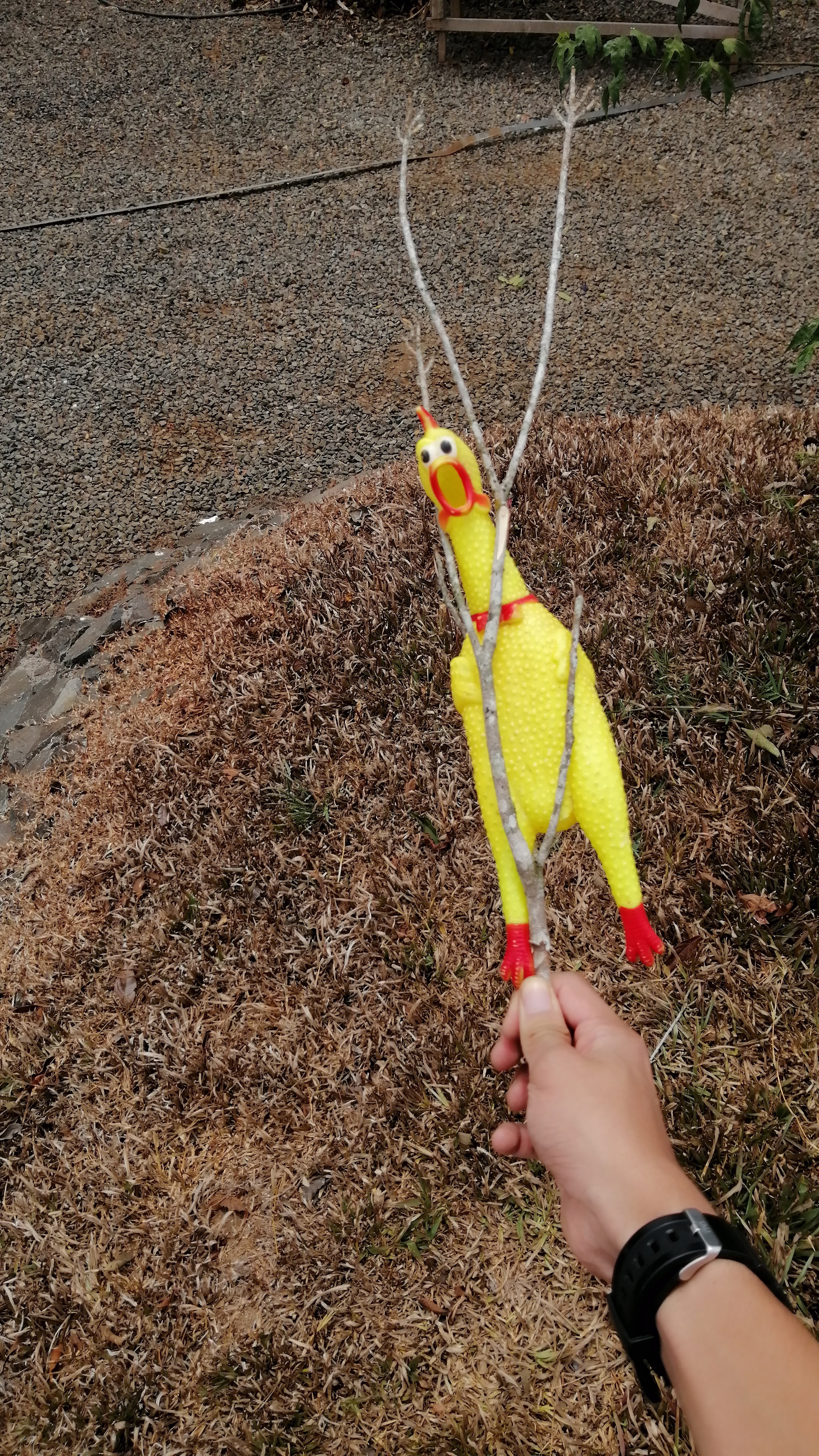 User banner