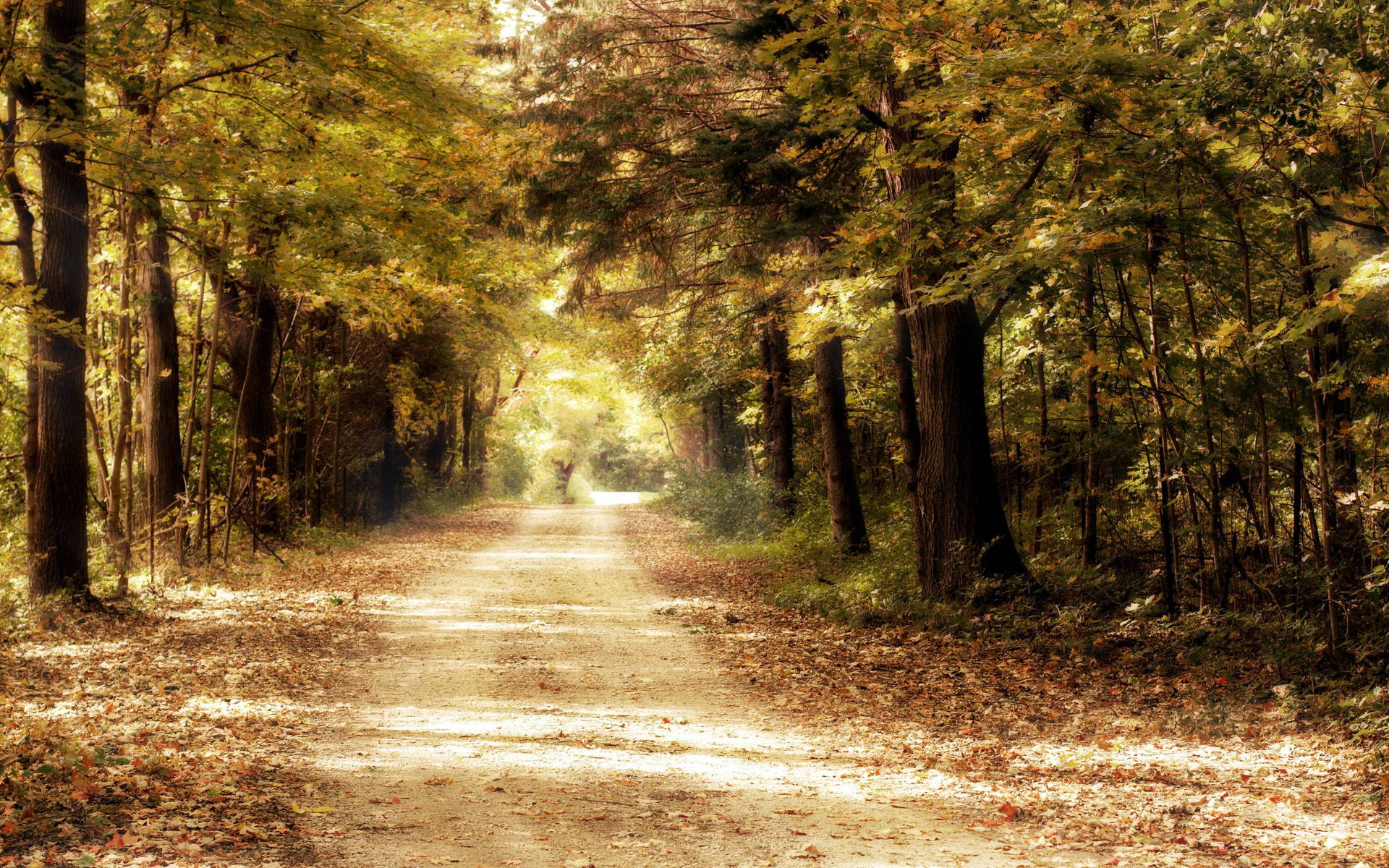 User banner