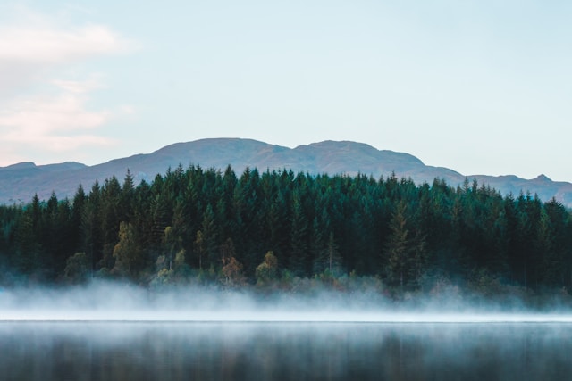 User banner