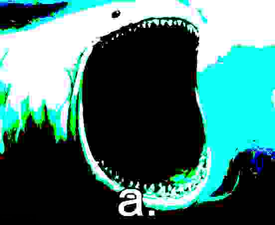 User icon