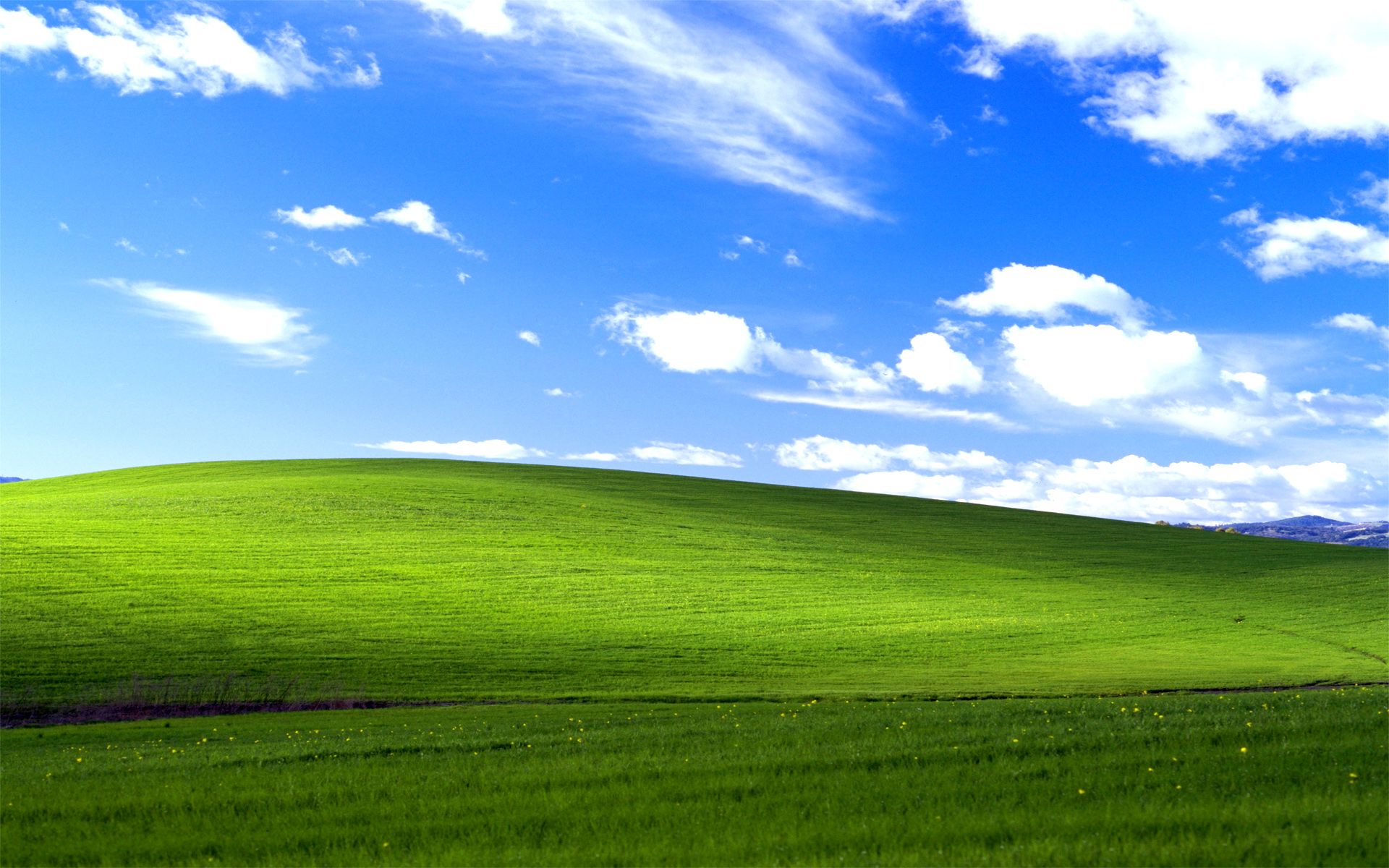 User banner