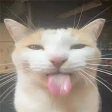 User banner