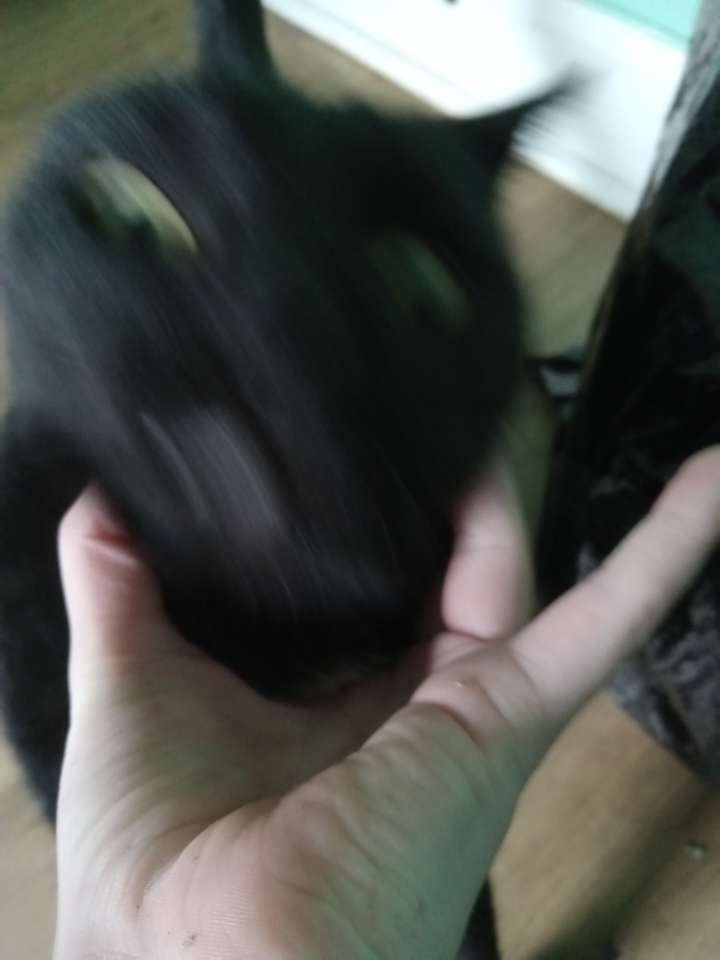 User banner