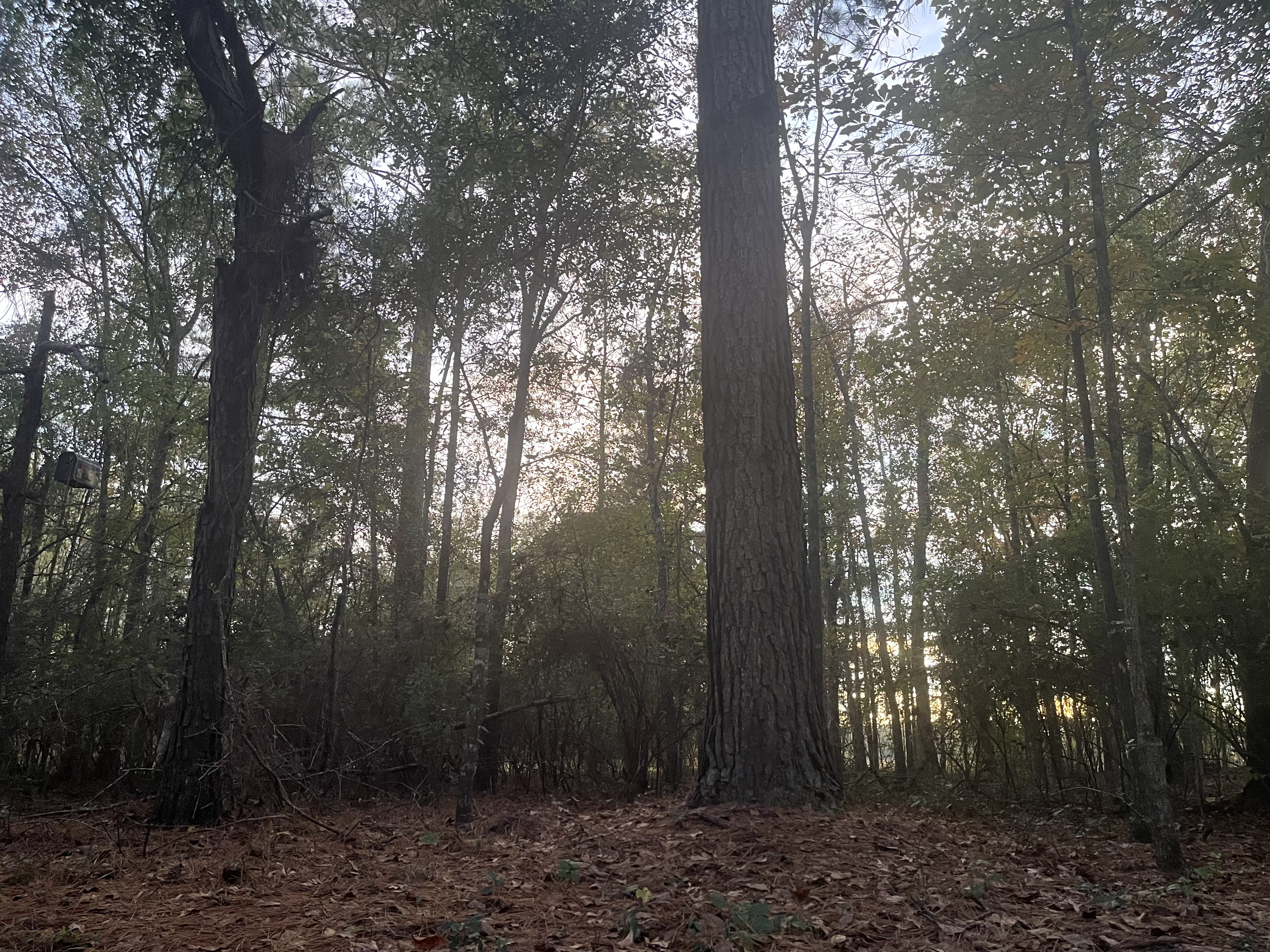 User banner