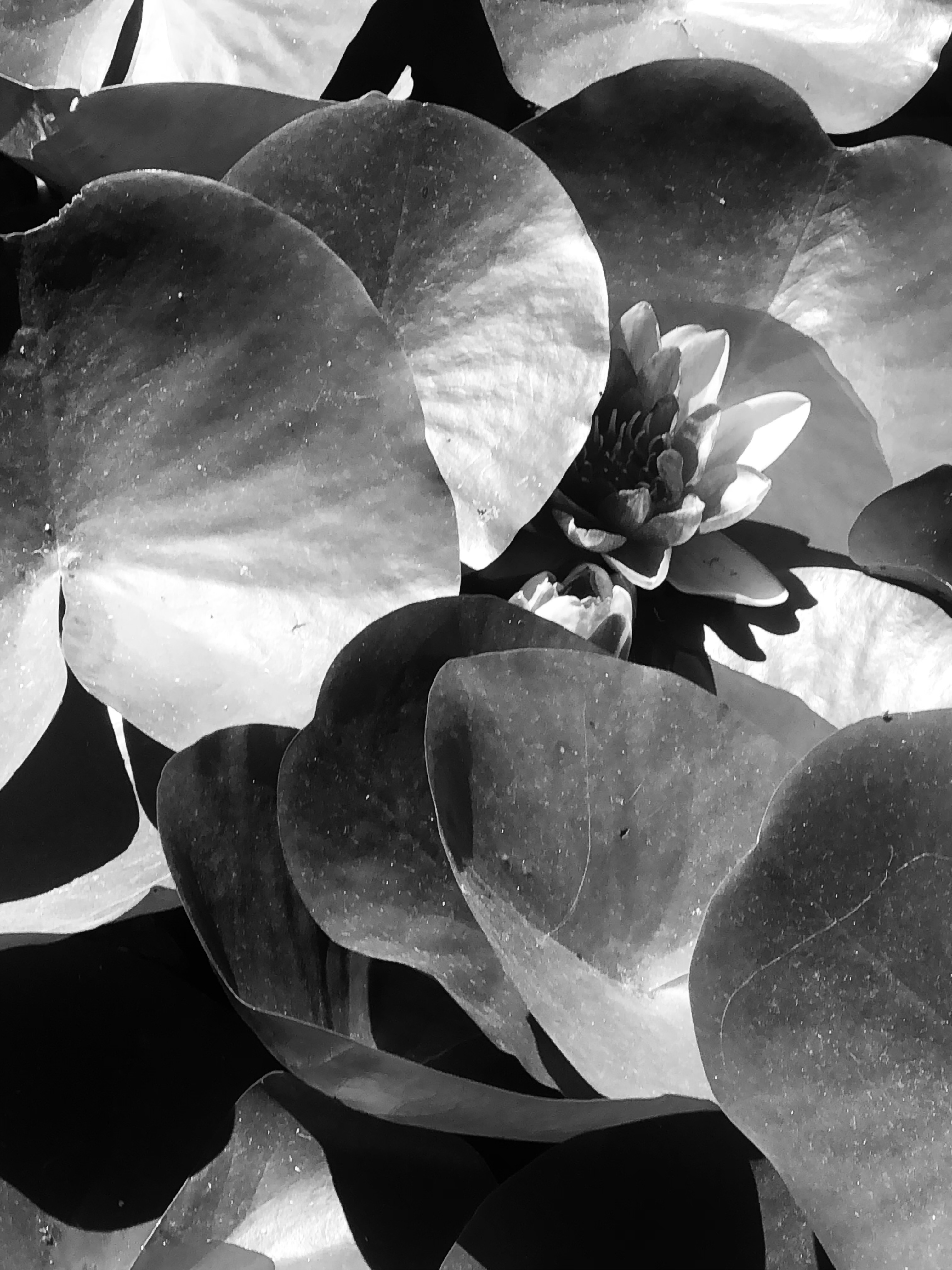 User banner