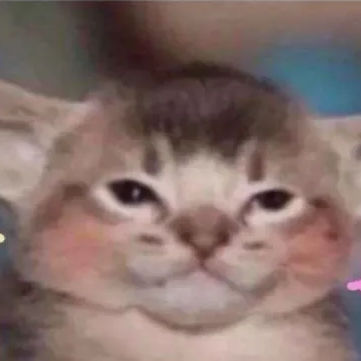 User icon